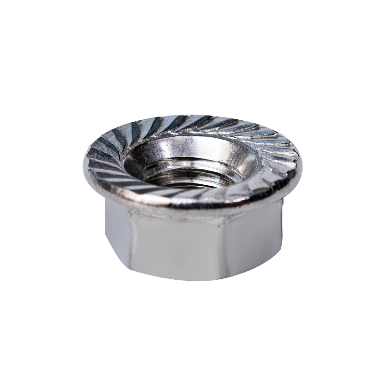 SS304 DIN6923 M10 Hexagon Flange Nuts