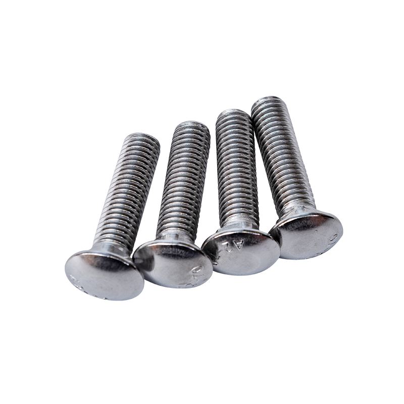 SS304 DIN603 M12 Cup Head Square Neck Bolts